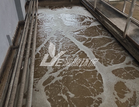 罐頭食品生產(chǎn)企業(yè)如何實現(xiàn)廢水達標排放